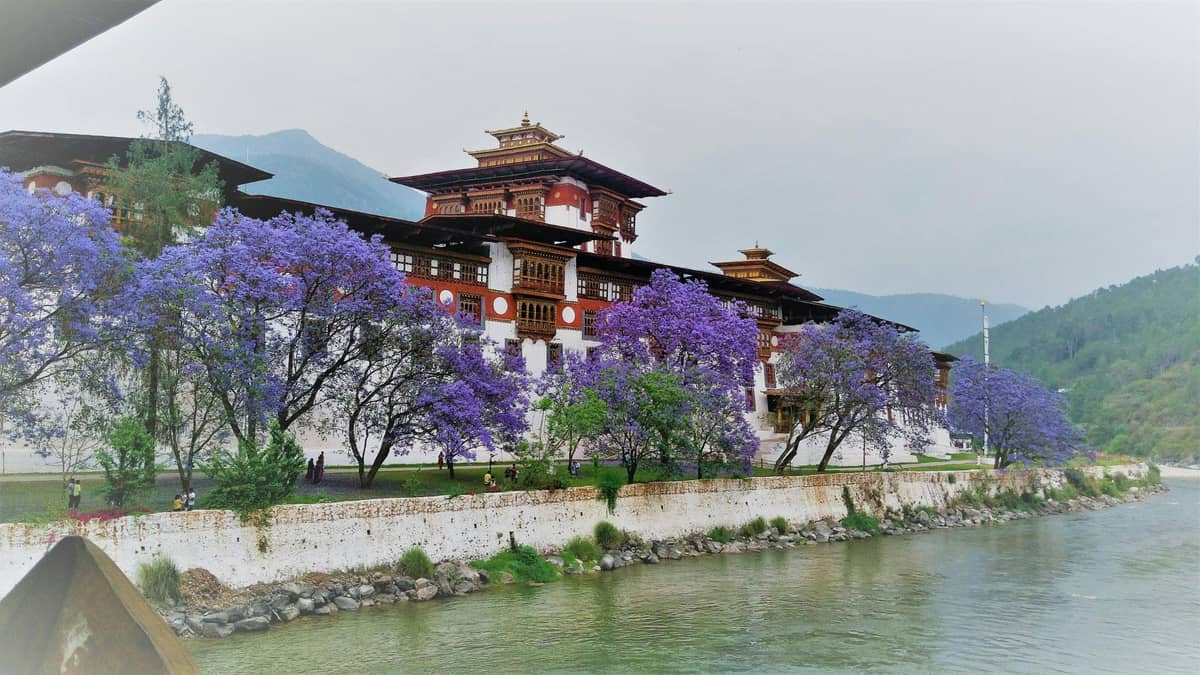 Punakha – Scenic Rice Valley